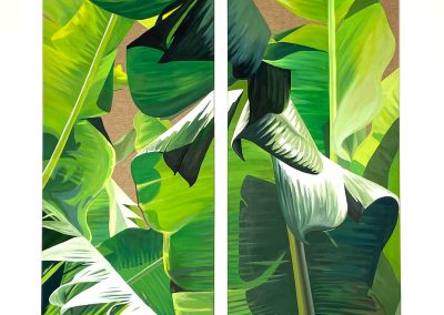 Musa | Paradisiaca