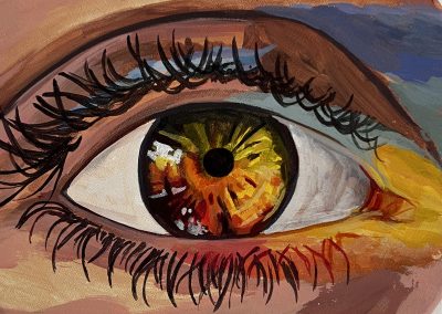 The eye